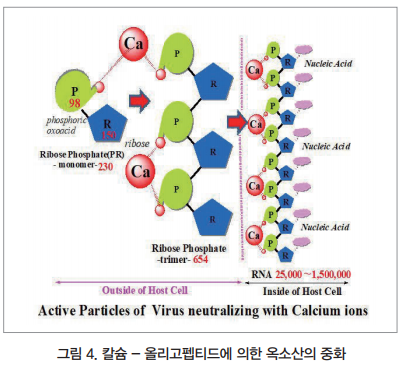 워치독 바이러스란