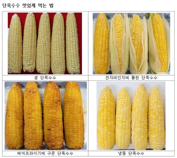 여름 간식 초당 옥수수 먹는 법 및 보관 방법 하얀 손수건 5221