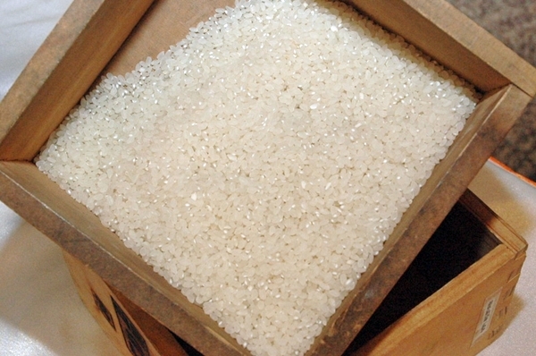 농림축산식품부는 내년부터 국제사회 쌀 원조 규모를 기존 5만톤에서 10만톤으로 증량한다. 사진=식품저널DB