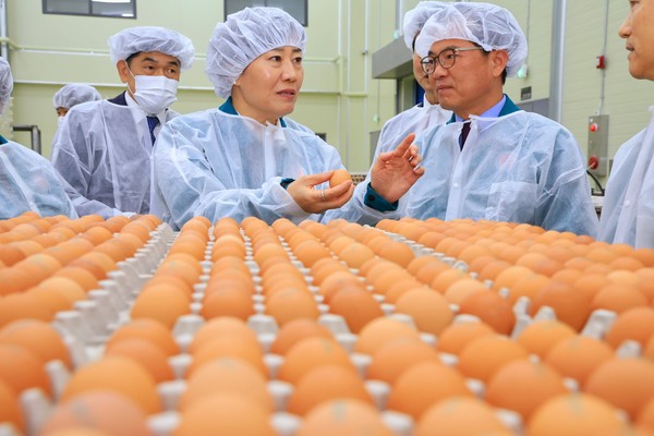 송미령 농림축산식품부 장관(왼쪽)이&nbsp;대전ㆍ충남 양계축산업협동조합의 식용란선별포장시설을 방문,&nbsp;계란 수급 현황을 점검하고 있다. 사진=농식품부<br>
