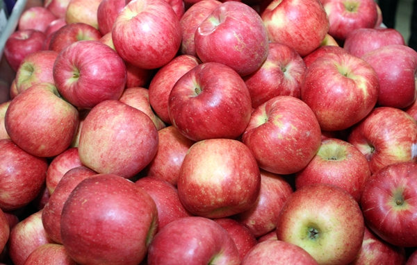 한국농수산식품유통공사에 따르면, 3월 하순 사과는 후지 10개 기준 2만4528원으로 전월보다 16.3% 내렸다.&nbsp;사진=식품저널DB
