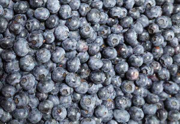 식약처는&nbsp;검사결과 부적합 이력이 없는 식품 등 중 안전성이 확보됐다고 식약처장이 인정하는 식품 등 범위를 조정, 농ㆍ임산물 중 최근 5년간 정밀검사에서 부적합이 발생한 말레이시아산 후추 및 칠레산 월귤(블루베리)/열매를 인정범위에서 제외했다. 사진=식품저널DB