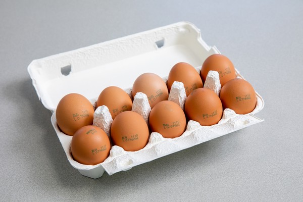 해썹 인증을 받은 식용란수집판매업자는<br>