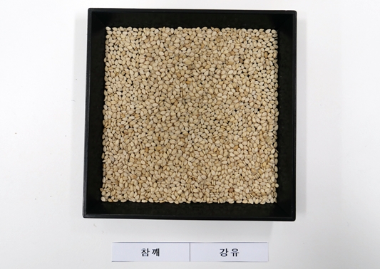 한국농업기술진흥원은 참깨 ‘강유’ 등 밭작물 12품종의 종자를 개별 신청받아 보급한다. 사진=농진원<br>