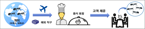 위반행위 모식도. 식약처 제공