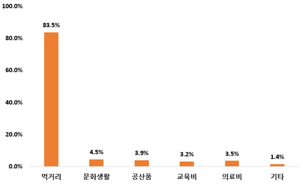 민생회복 소비쿠폰 사용 용도<br>