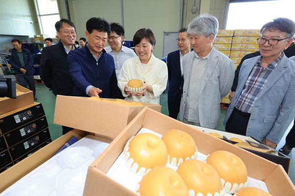 송미령 농림축산토토사이트부 장관은 11일 아산원예농협 과수 거점 산지유통센터(APC)를 방문, 추석 성수품인 햇배 수급상황을 점검했다. 사진=농토토사이트부<br>