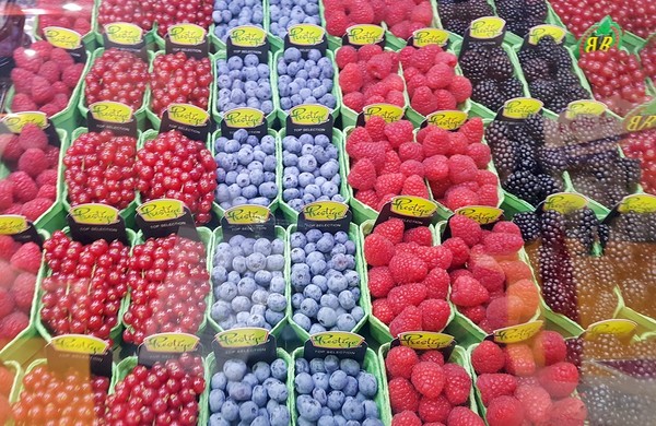 식약처는 폴란드, 프랑스, 이탈리아, 독일, 핀란드, 오스트리아, 스웨덴의 베리류(블루베리, 링곤베리, 빌베리) 및 이를 원료로 제조한 잼류, 과·채가공품에 대한 검사명령(방사능)을 2026년 10월 21일까지 연장하기로 했다. 사진=식품저널DB