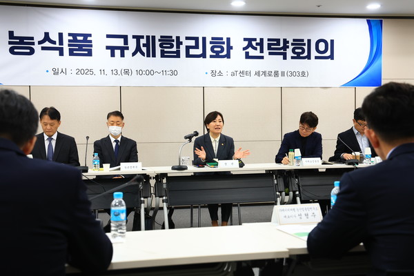 13일 서울 양재동 aT센터에서 농식품부 송미령 장관 주재로 열린 제2차 농식품 규제 합리화 전략회의. 사진=농식품부<br>