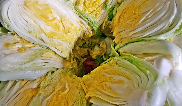 식약처와 전남도는 마른김, 마른미역, 절임배추 등 단순처리 농수산물 생산업체를 대상으로 위생ㆍ안전관리를 강화하기 위해 자율점검 시범사업을 실시한다. 사진=식품저널DB