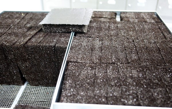 조미김ㆍ고춧가루ㆍ녹차ㆍ인스턴트커피 등의 대미 수출 상호관세가 면제된다. 사진=식품저널DB<br>