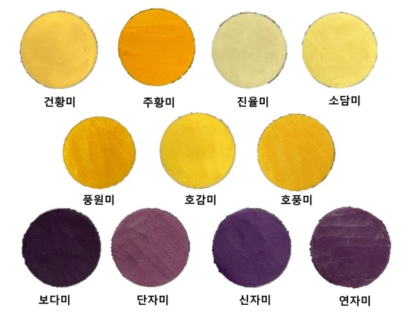 굽기 처리한 고구마 페이스트. 사진=국립식량과학원 소득식량자원연구소