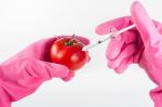 국회의원 GMO 표시 ‘확대해야’ 늘고, ‘현행 유지’ 줄어