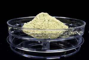 혈당 강하 효과 ‘누에 분말’, ‘기능성표시식품’으로 日 수출