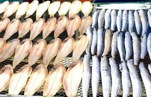 식탁 위 '영원한 화학물질 'PFAS(과불화화합물)'...독일 동물성 식품서 검... - 뉴스 썸네일 이미지